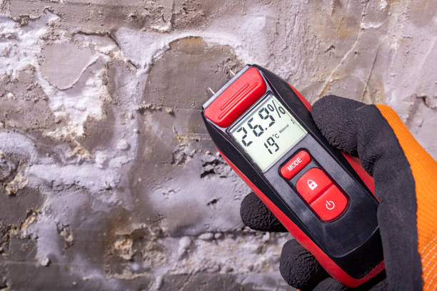 Best Residential Mold Removal  in Farmington, PA