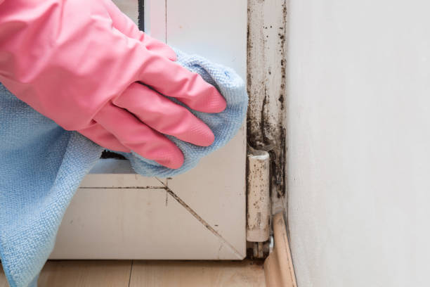 Best Mold Testing  in Farmington, PA