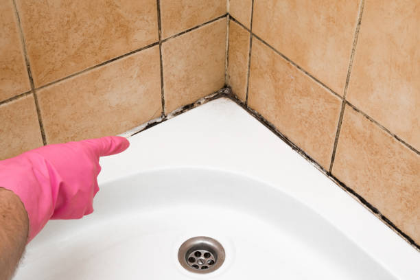 Best Mold Testing  in Farmington, PA